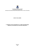 Bruno Faria Rohde.pdf